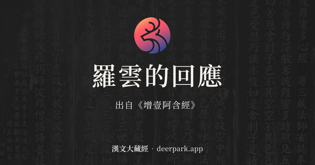 羅雲的回應 - 精華教授